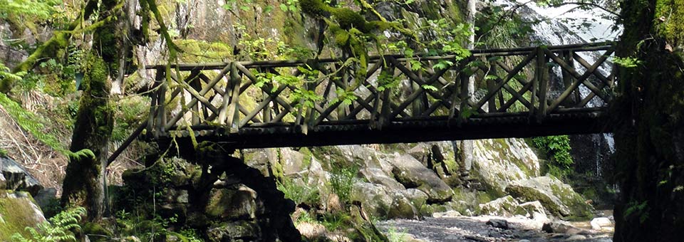Slide - Pont de bois au-dessus d'une rivière